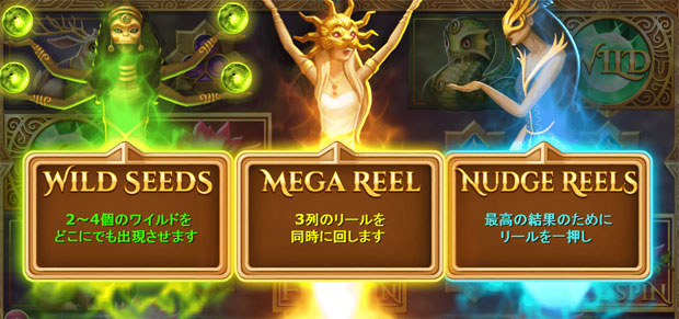 �t�B�[�`���[�R��