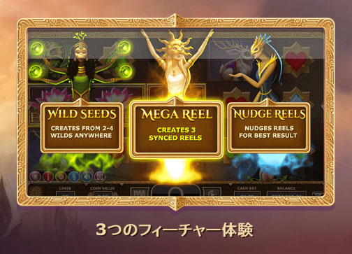 �t�B�[�`���[