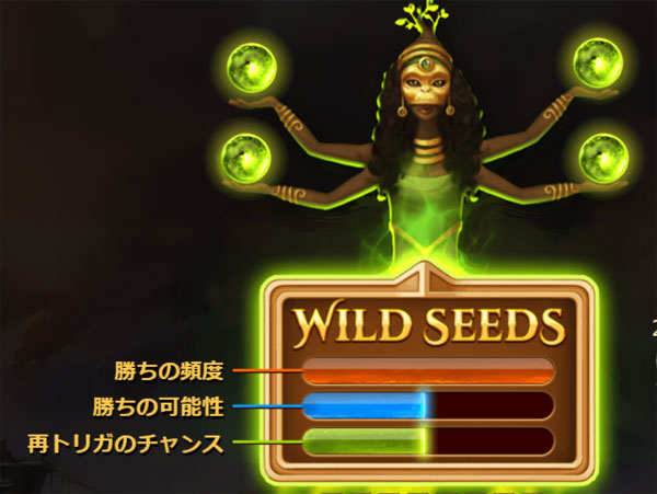 �t�B�[�`���[�P