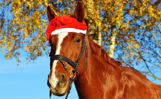 �T���^�N���[�X�̃E�}