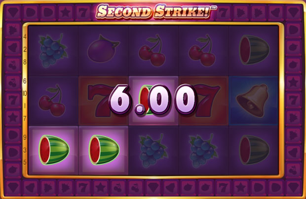 �X�C�J�̓�����